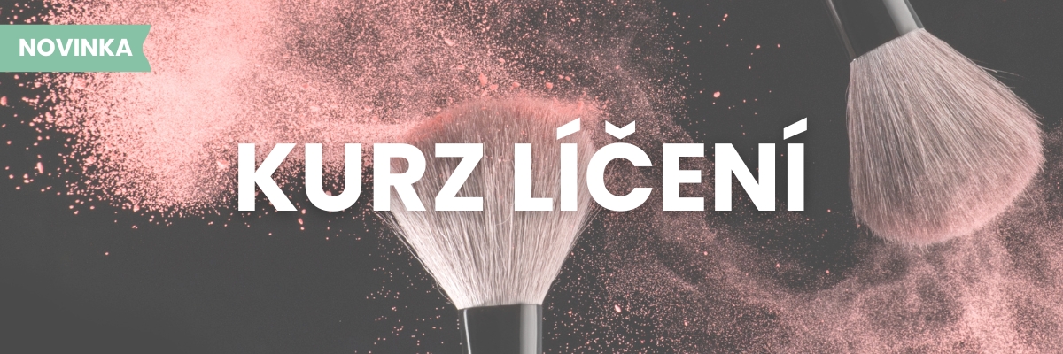 Novinka - individuální kurz líčení
